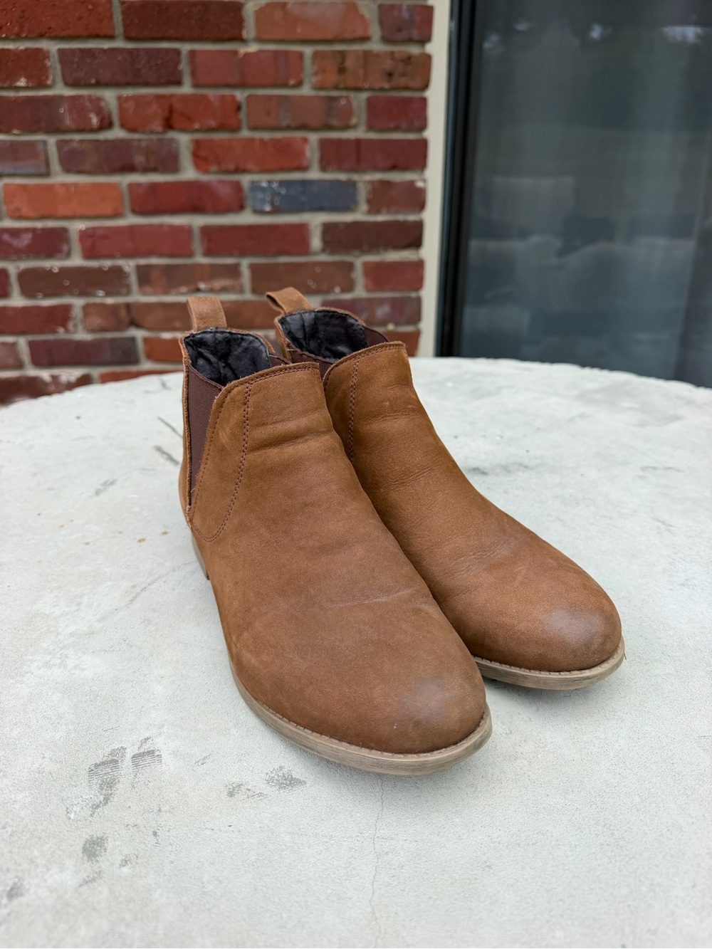Steve Madden Women's Brown Chelsea Ankle Booties